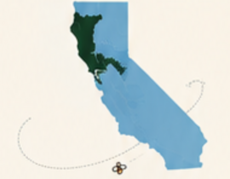 Map of California with the Northern California sourcing region highlighted, and a bee flight path traced across the state