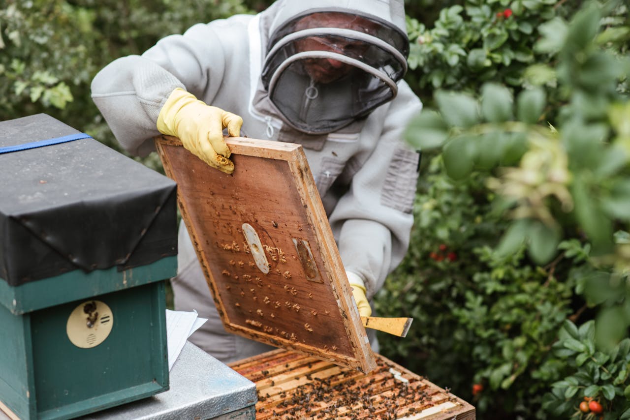 12 Beekeeping Mistakes That Kill Colonies (and How to Avoid Every One)