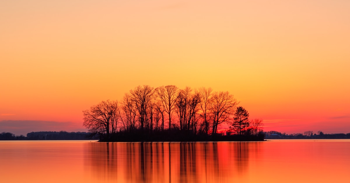 Best Online Beekeeping Courses Compared (2026)